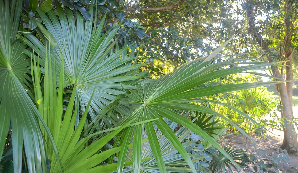 Property Cover Photo