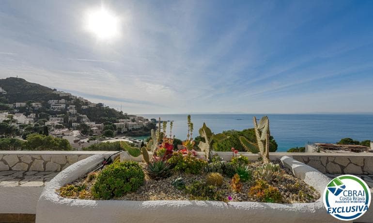 Property Cover Photo