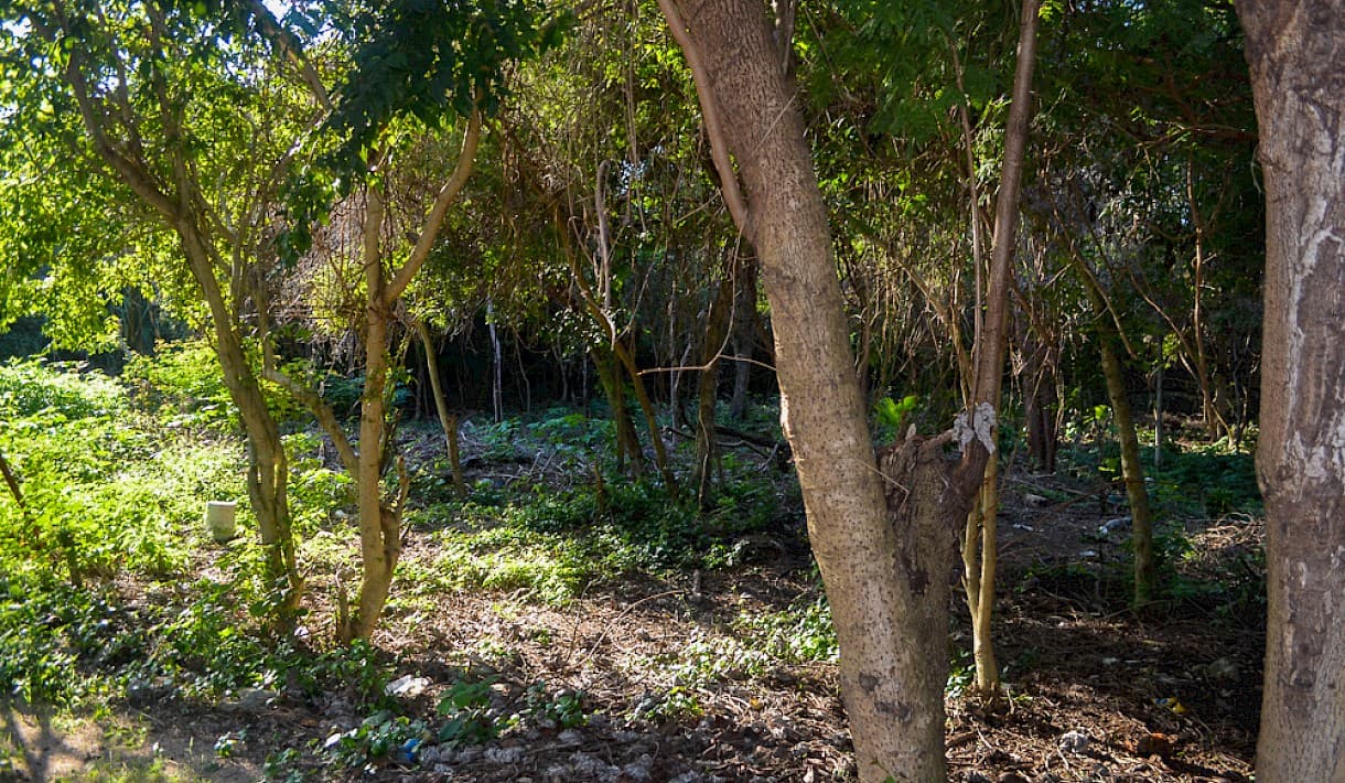 Property Cover Photo