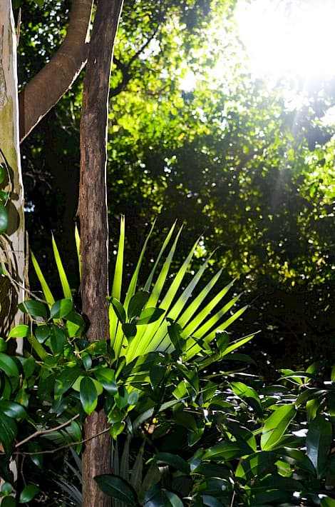 Property Cover Photo